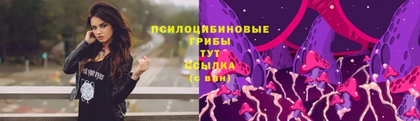 индика Строитель