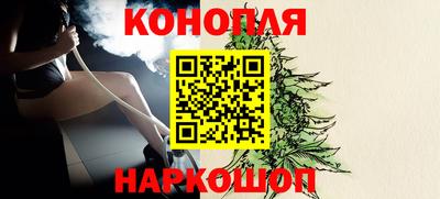 молекула духа Партизанск
