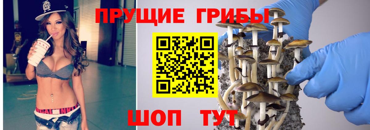 Псилоцибиновые грибы мухоморы Биробиджан