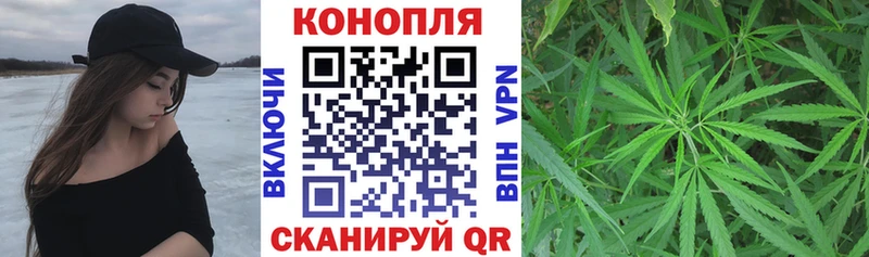 Шишки марихуана White Widow  гидра маркетплейс  Биробиджан 